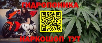 ALPHA PVP Будённовск