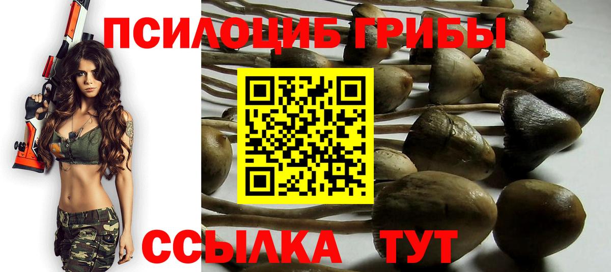 Псилоцибиновые грибы мухоморы  Псилоцибиновые грибы мухоморы  Вход с VPN  Россошь 
