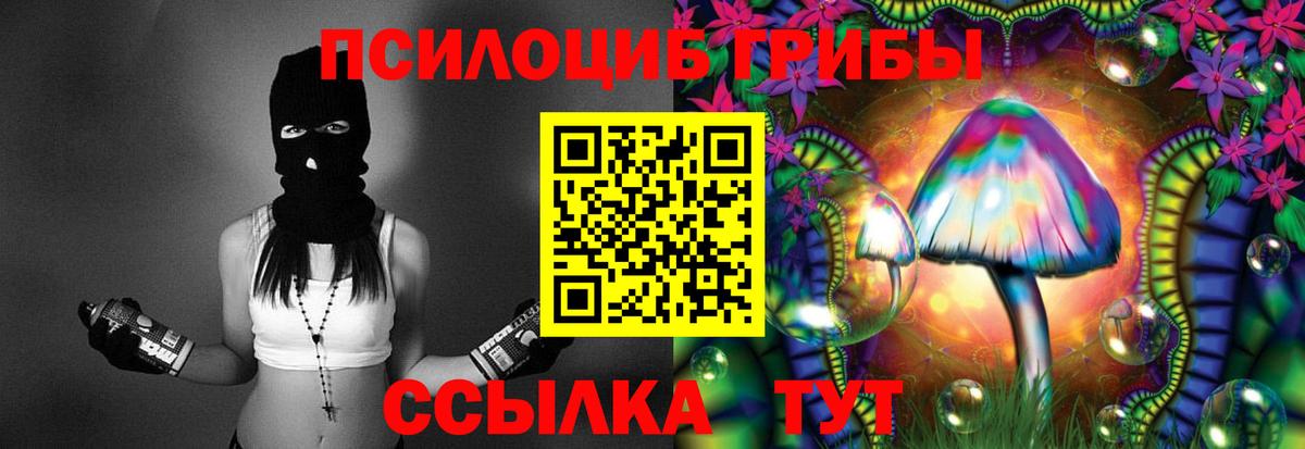 Псилоцибиновые грибы GOLDEN TEACHER Россошь