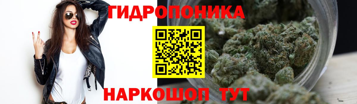 Конопля MAZAR  Марихуана сатива  Россошь  Вход с VPN 